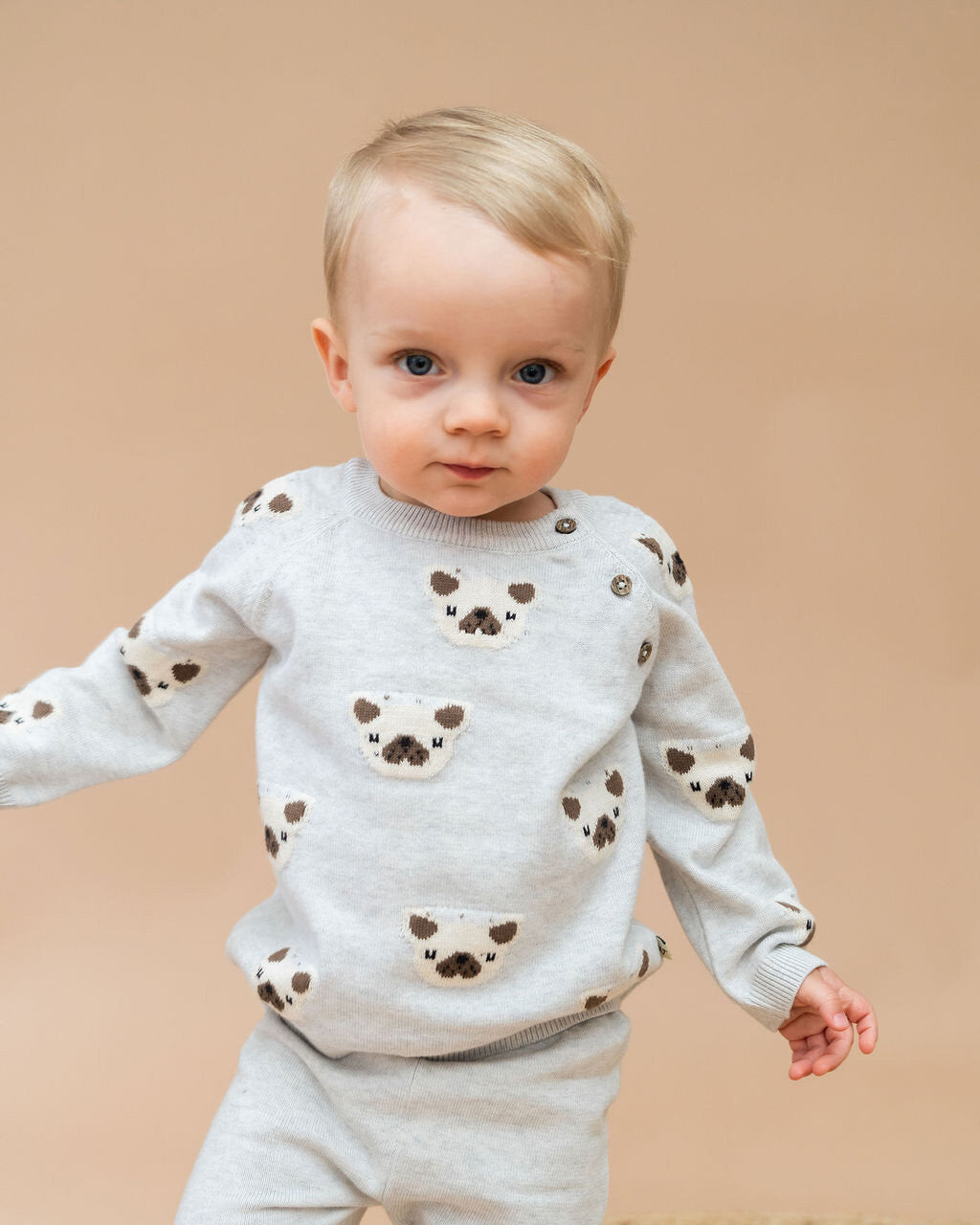 Frenchie Puppy Jacquard Knit Baby Raglan Pullover Sweater & Pant Set - Twinkle Twinkle Little One