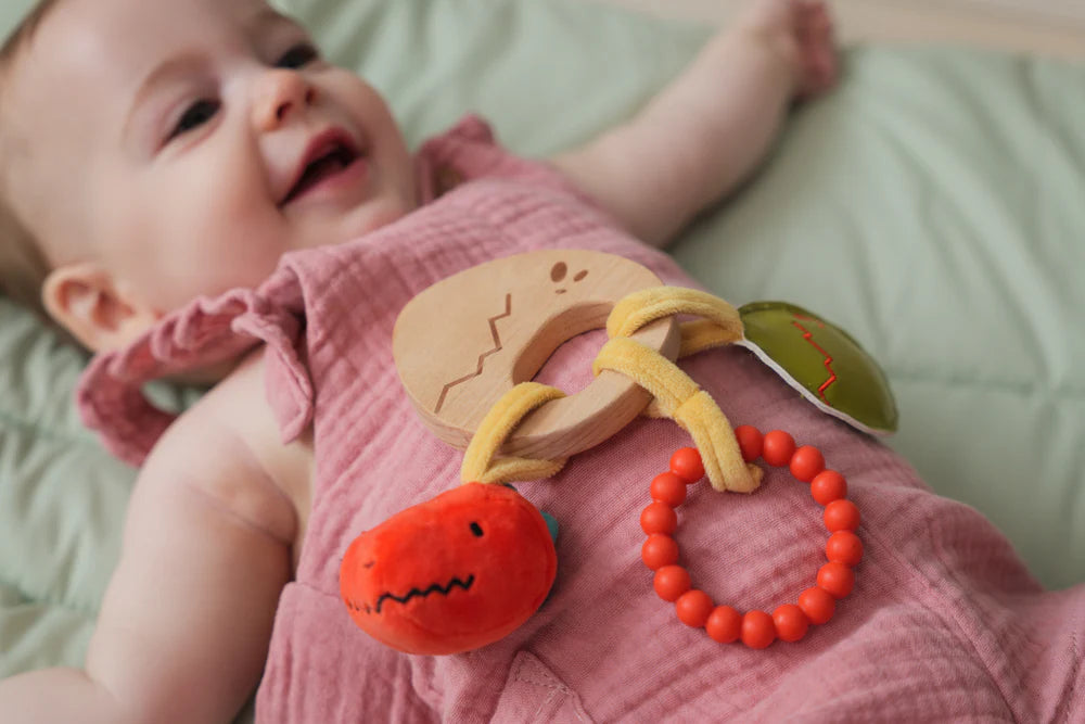 Dino Wooden Rattle - Twinkle Twinkle Little One