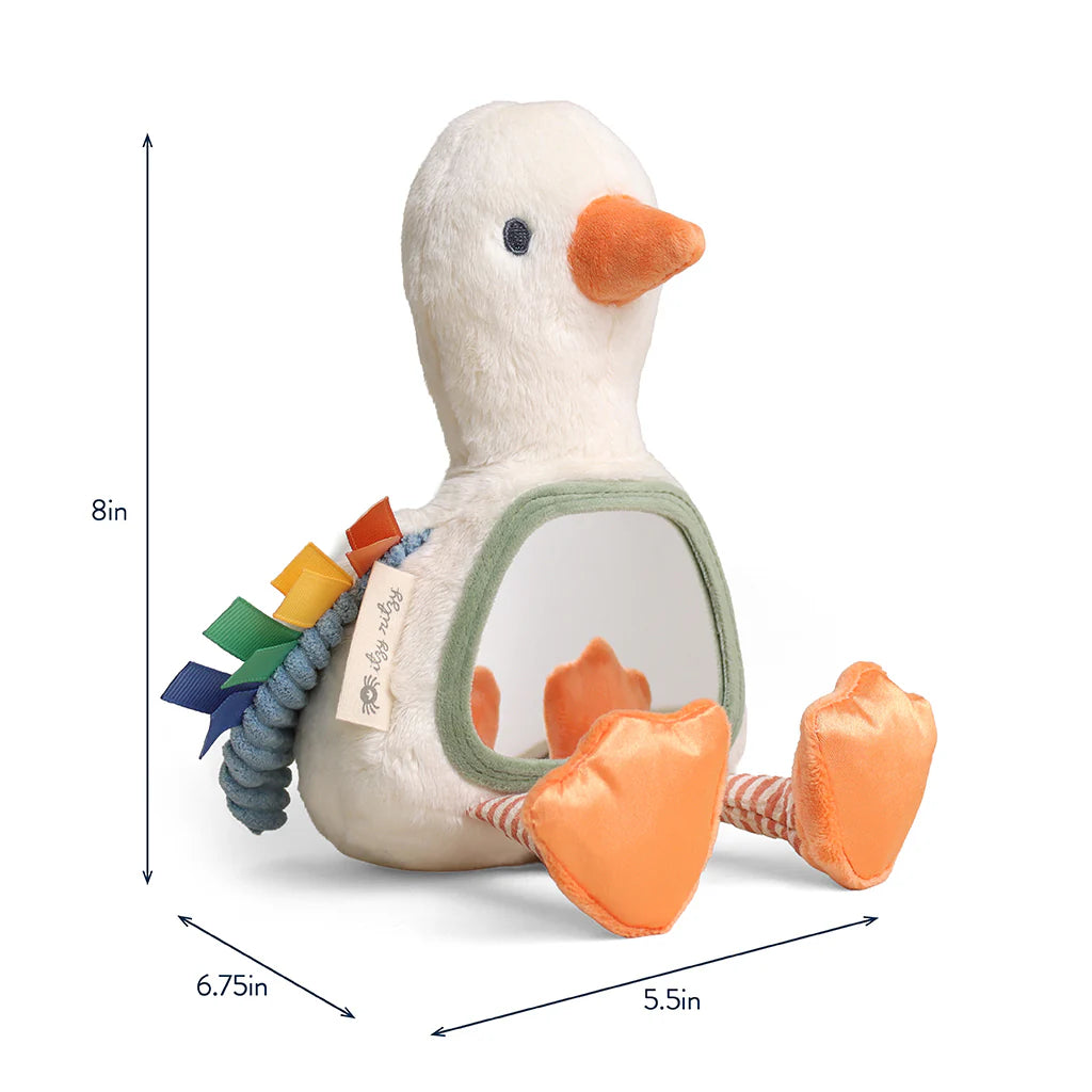 Itzy Ritzy Itzy Bitzy Mirror Sensory Tummy Time Mirror | Gracie the Goose