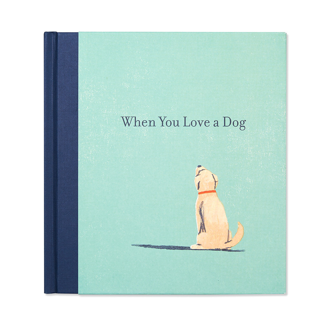 Book titled 'When You Love a Dog' with a dog illustration on a light blue cover.