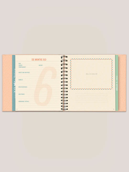 BUNDLE OF JOY GUIDED JOURNAL - Twinkle Twinkle Little One