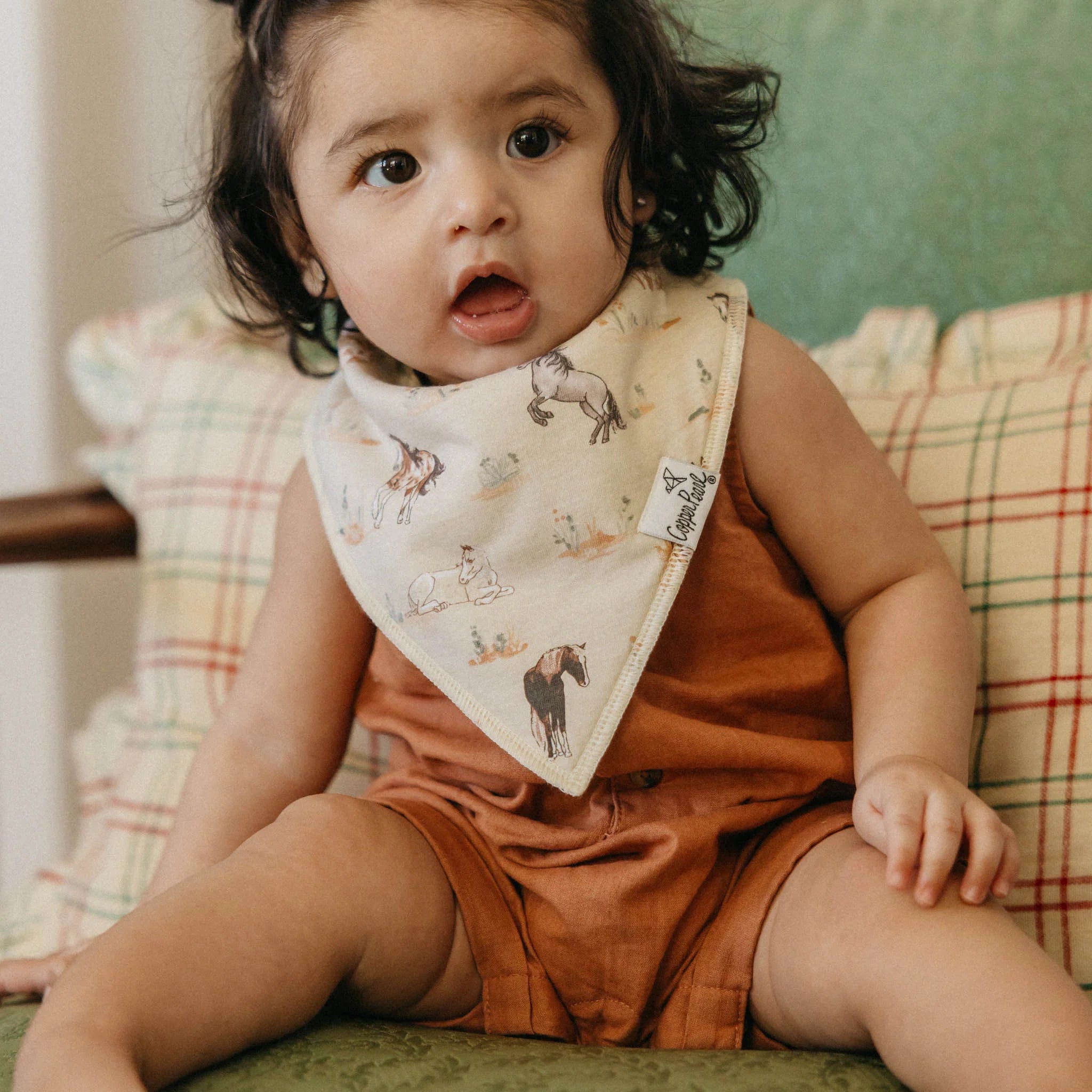 Cheyenne Bandana Bib Set (4-Pack) - Twinkle Twinkle Little One