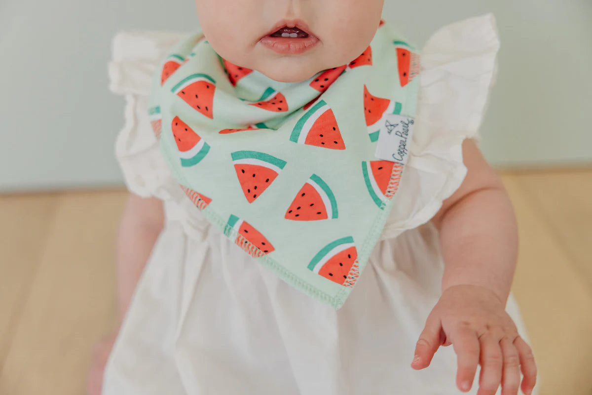 Clementine Baby Bandana Bibs - Twinkle Twinkle Little One