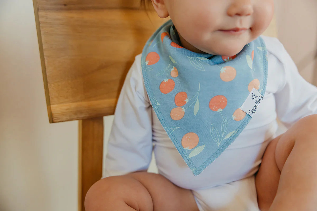 Clementine Baby Bandana Bibs - Twinkle Twinkle Little One