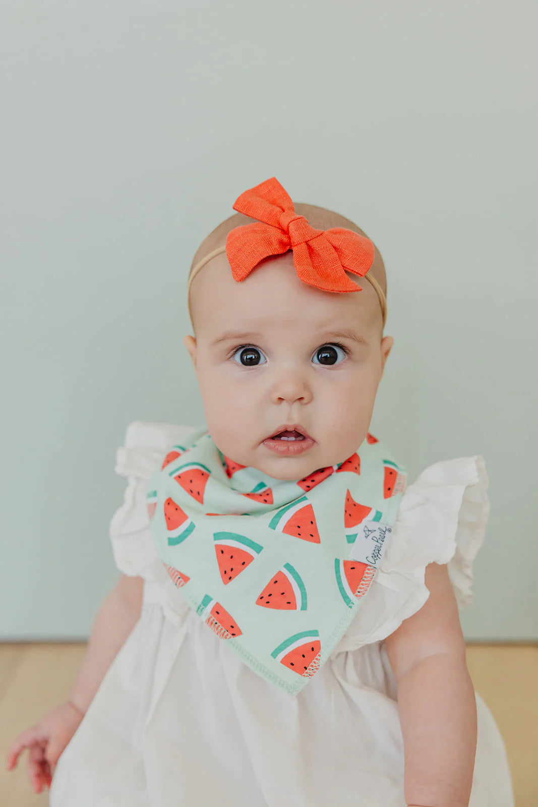 Clementine Baby Bandana Bibs - Twinkle Twinkle Little One