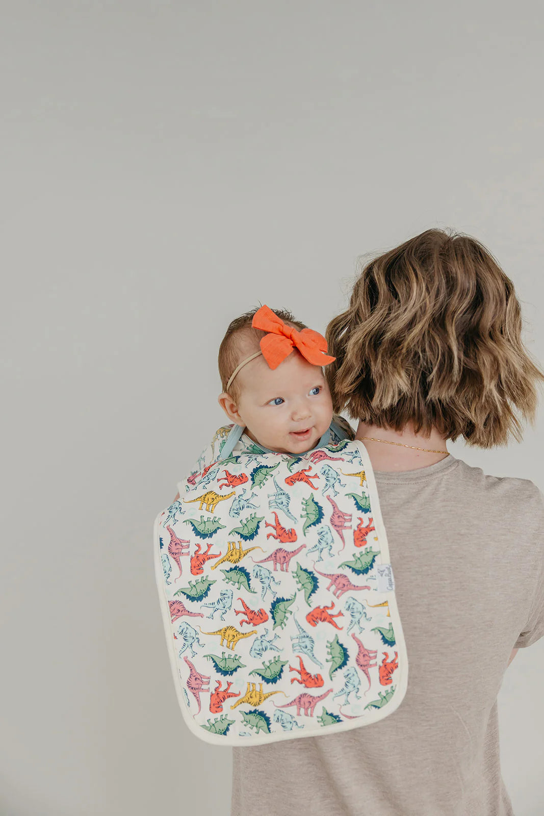 Jurassic Park Premium Burp Cloths (Copy) - Twinkle Twinkle Little One