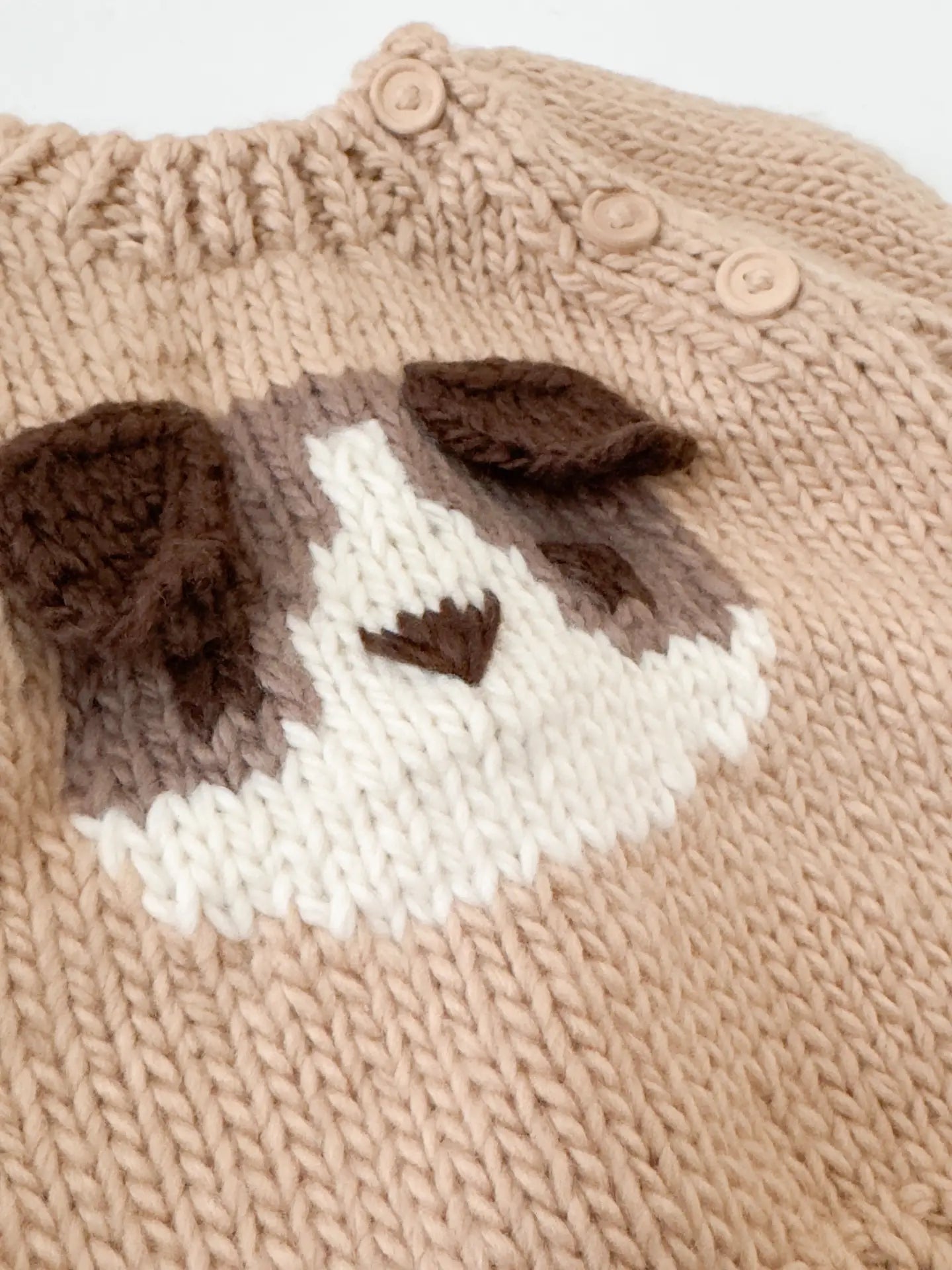 Dog Pullover Sweater - Twinkle Twinkle Little One