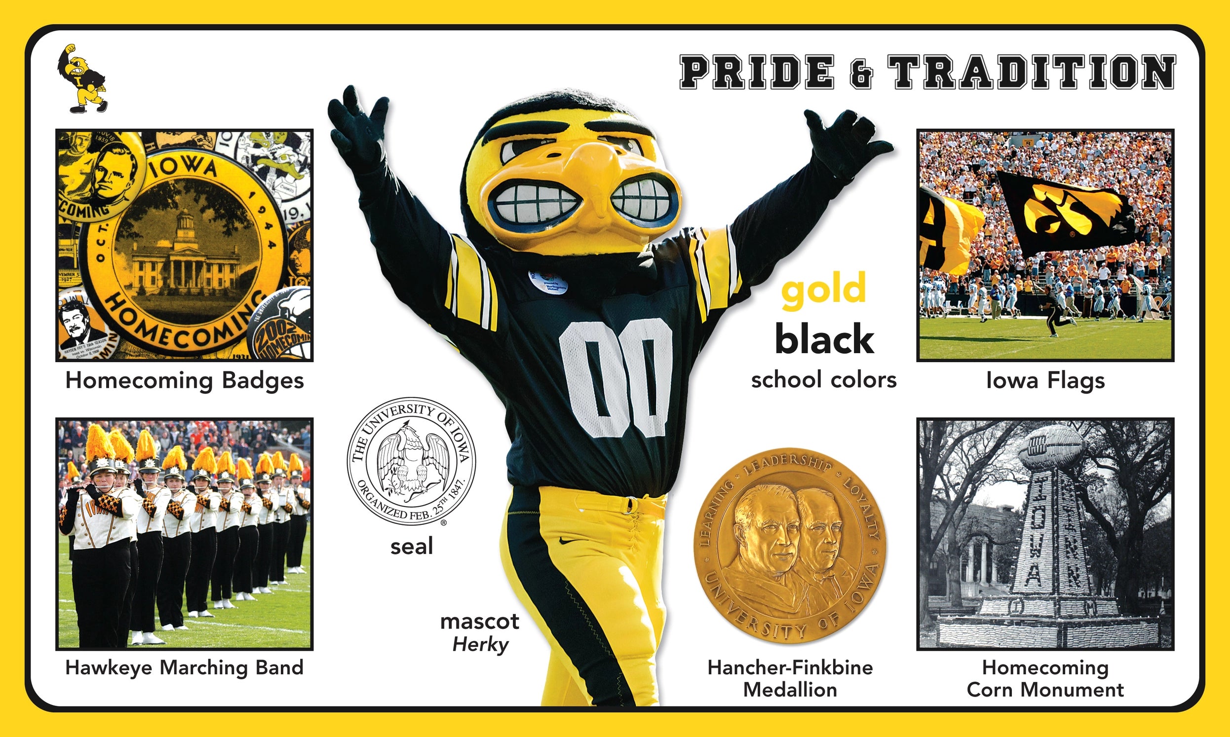 U of Iowa 101 Board Book - Twinkle Twinkle Little One