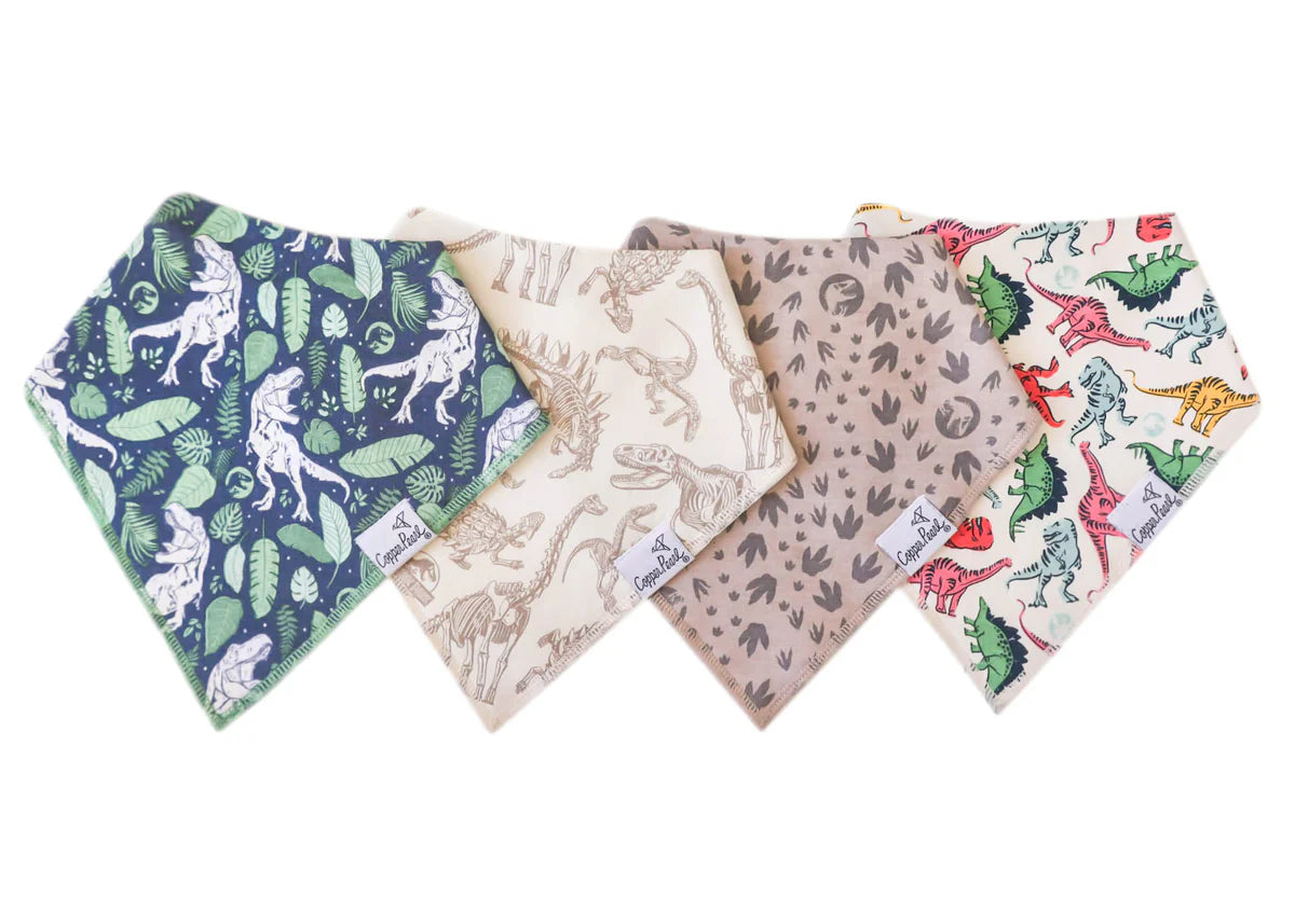 Juarrasic Park Baby Bandana Bibs - Twinkle Twinkle Little One