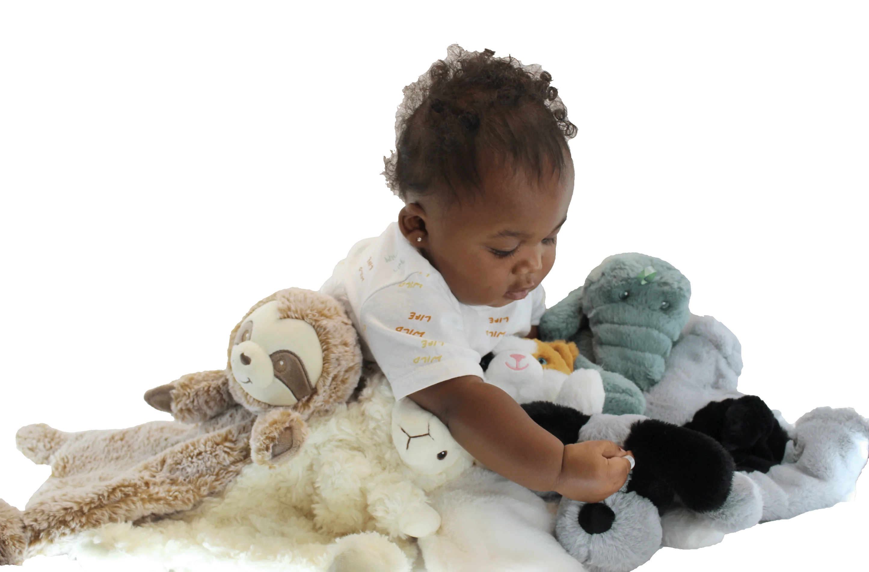 Crinkle Cuddler - Sensory Plush Lamb - Twinkle Twinkle Little One