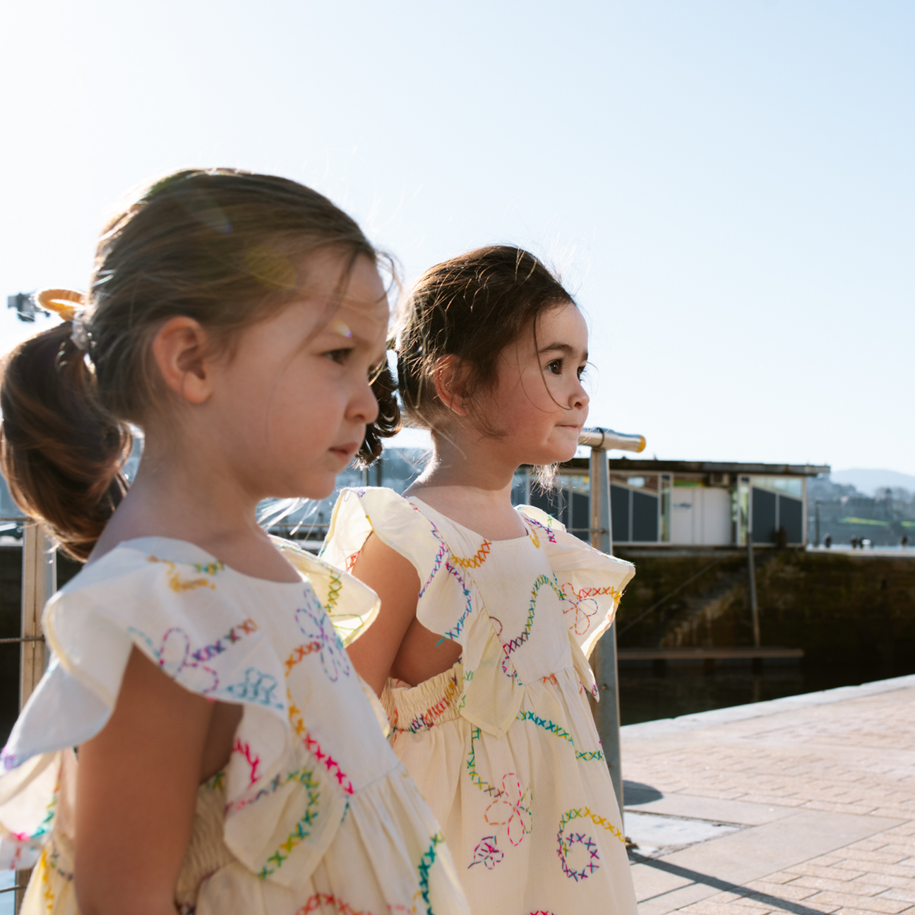 Color Jardin Dress - Twinkle Twinkle Little One