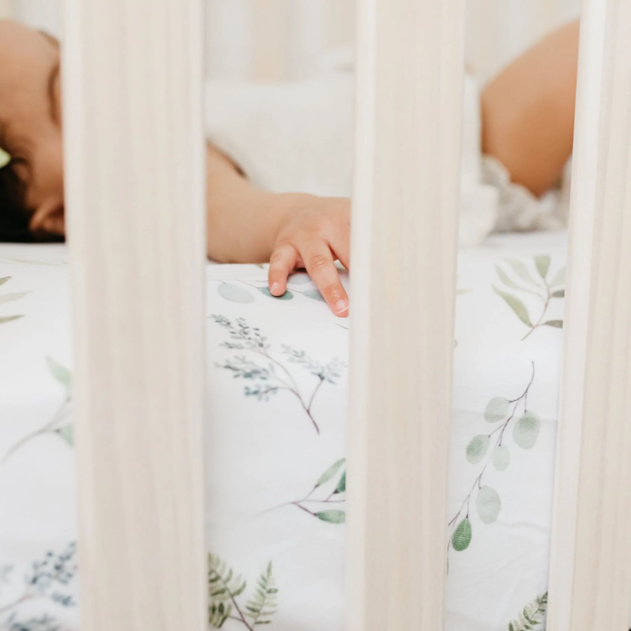 Haven Premium Crib Sheet - Twinkle Twinkle Little One