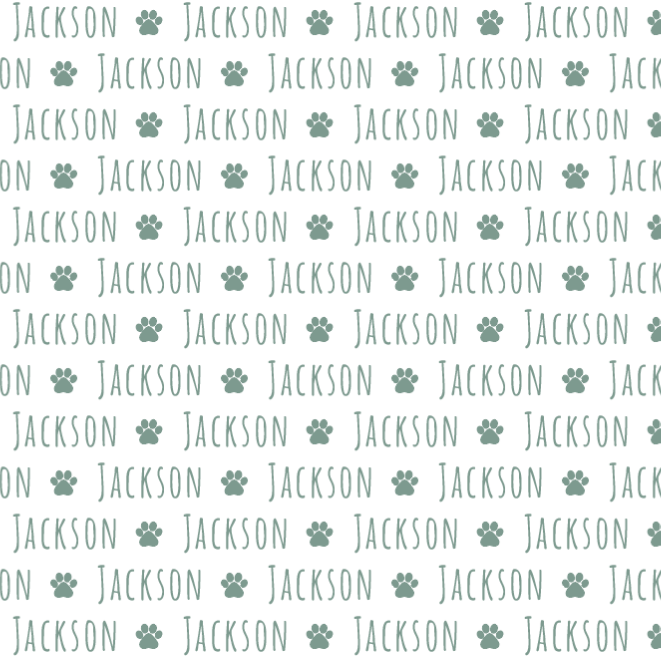 Sugar + Maple Plush Minky Fleece Personalized Blanket | Paw Icon Repeating Name - Twinkle Twinkle Little One