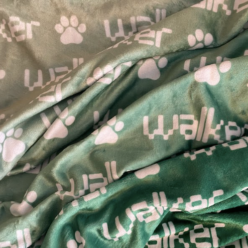 Sugar + Maple Plush Minky Fleece Personalized Blanket | Jungle Ombre - Twinkle Twinkle Little One