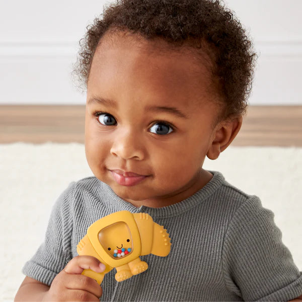Sweetie Shake Plus™ Rattle & Teether - Twinkle Twinkle Little One