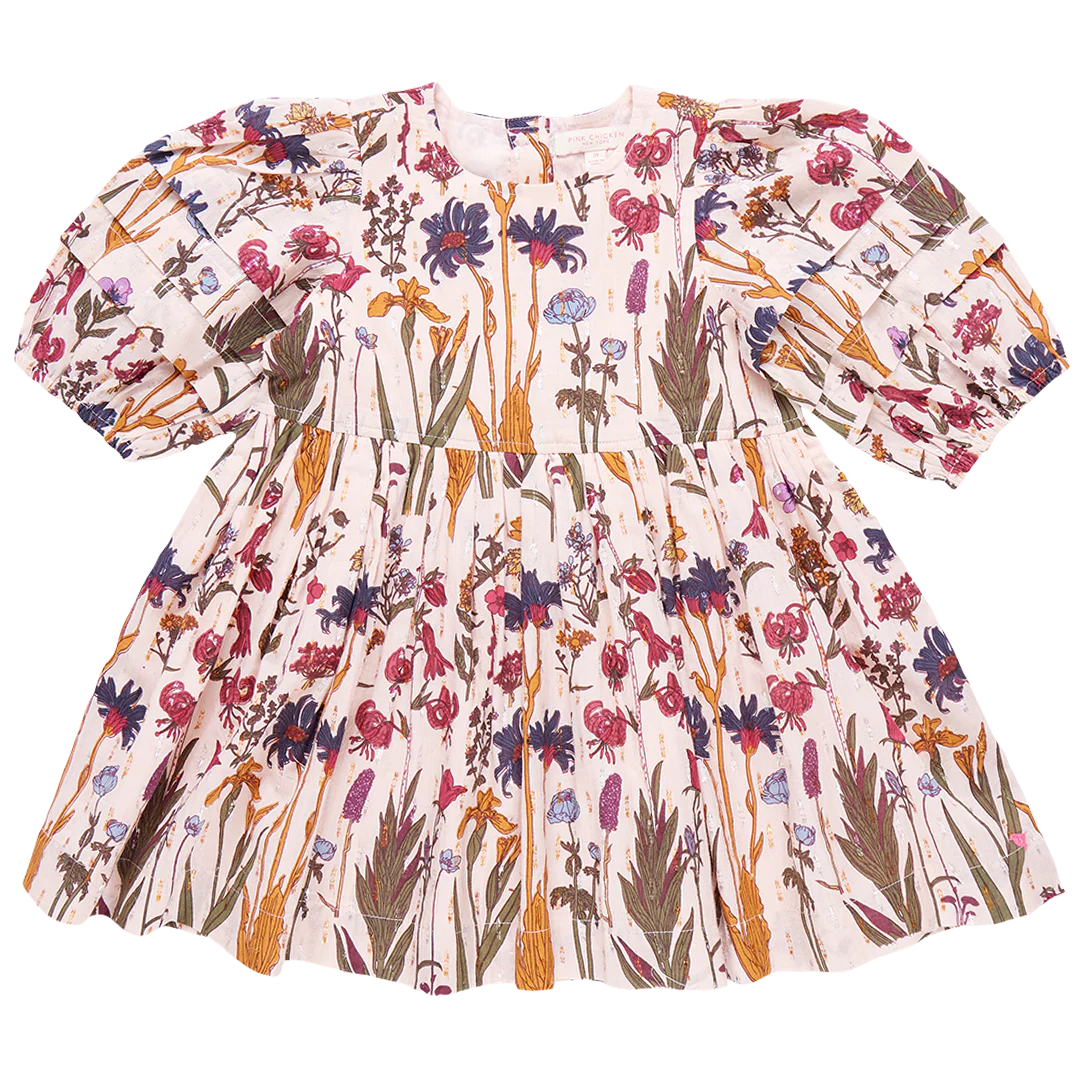 Girls Brooke Dress - Autumn Flowers - Twinkle Twinkle Little One