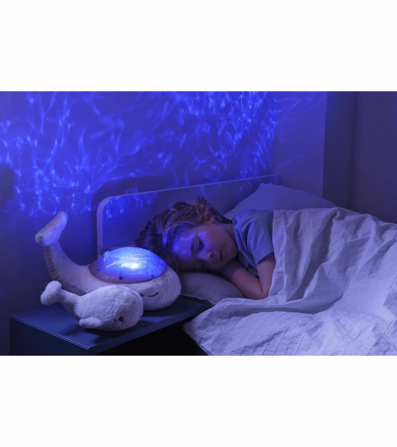 Cloud b Tranquil Whale Family - White - Twinkle Twinkle Little One