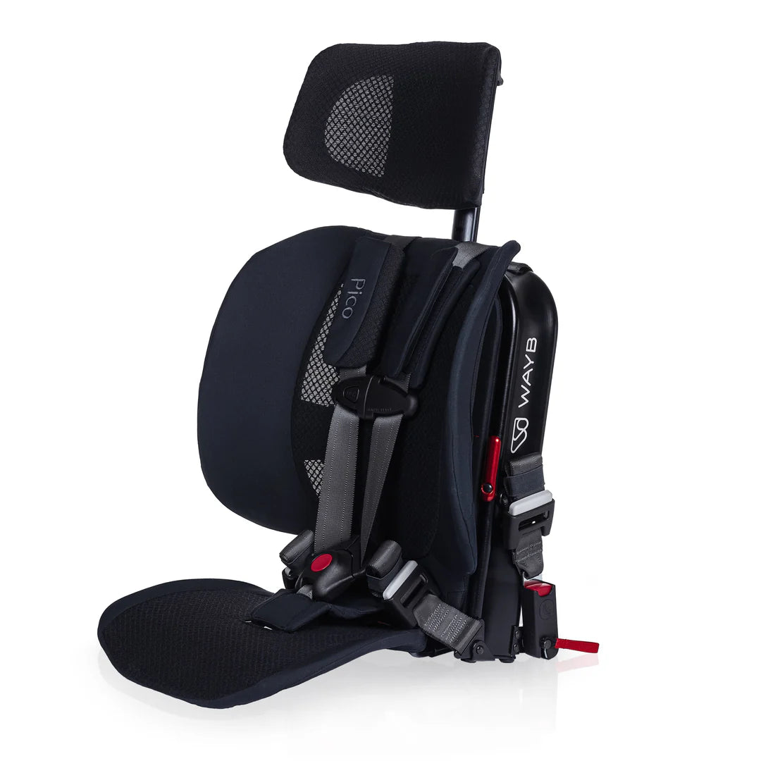 Pico Portable Car Seat - Jet - Twinkle Twinkle Little One