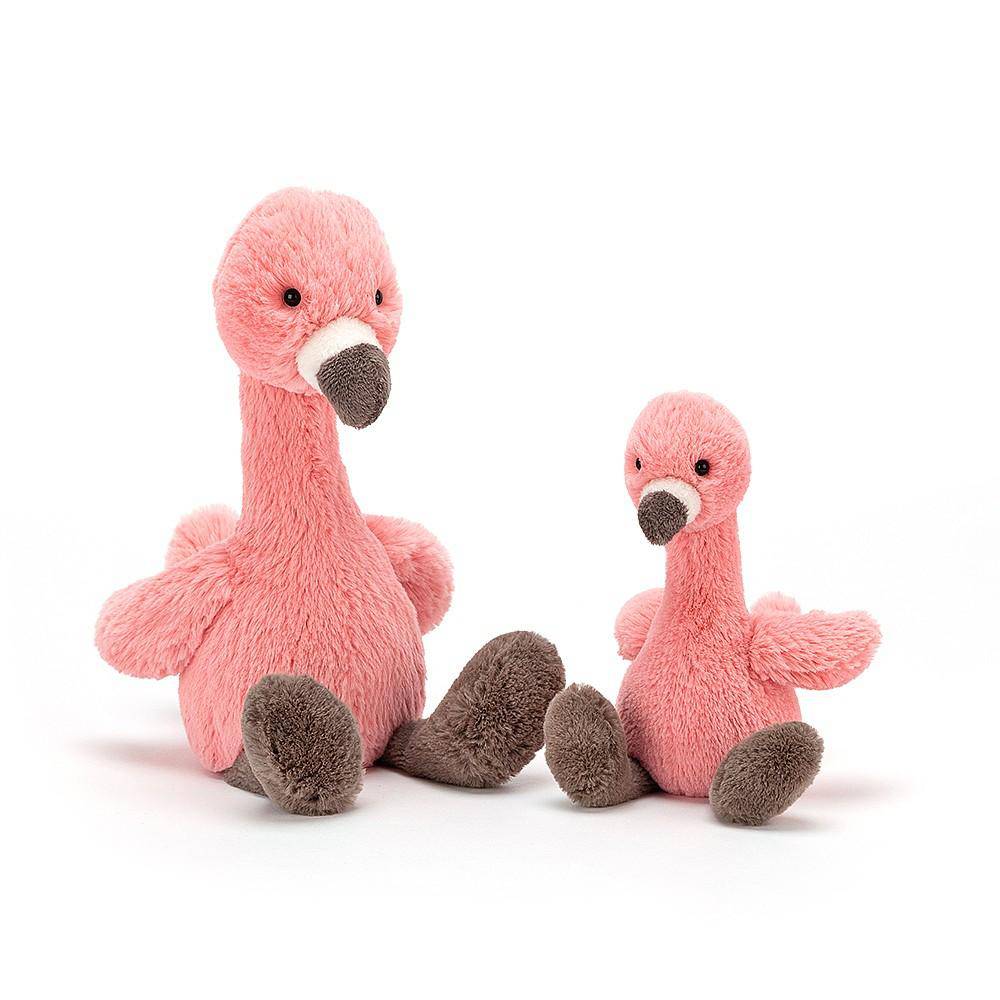 Medium Bashful Flamingo