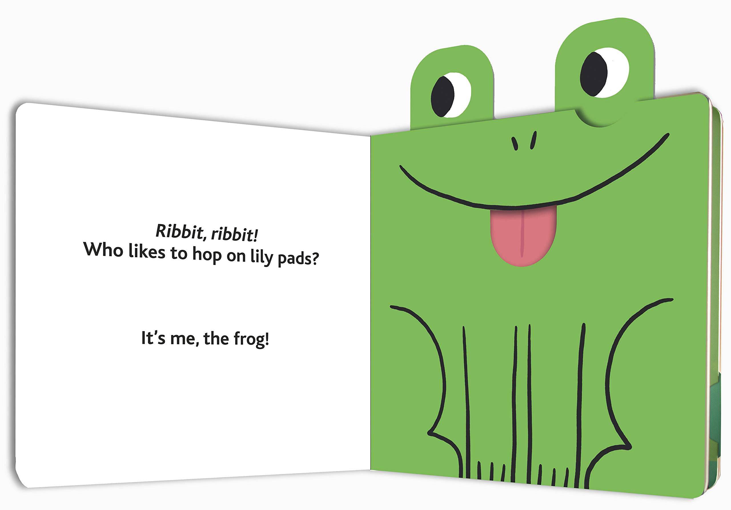 Who Am I? Board Book - Twinkle Twinkle Little One