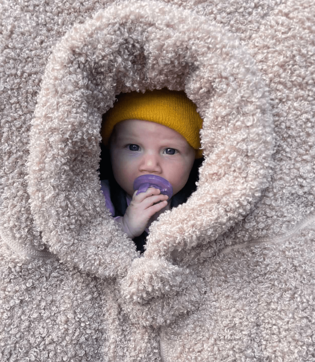 7 A.M. Enfant Car Seat Cocoon - Teddy - Twinkle Twinkle Little One