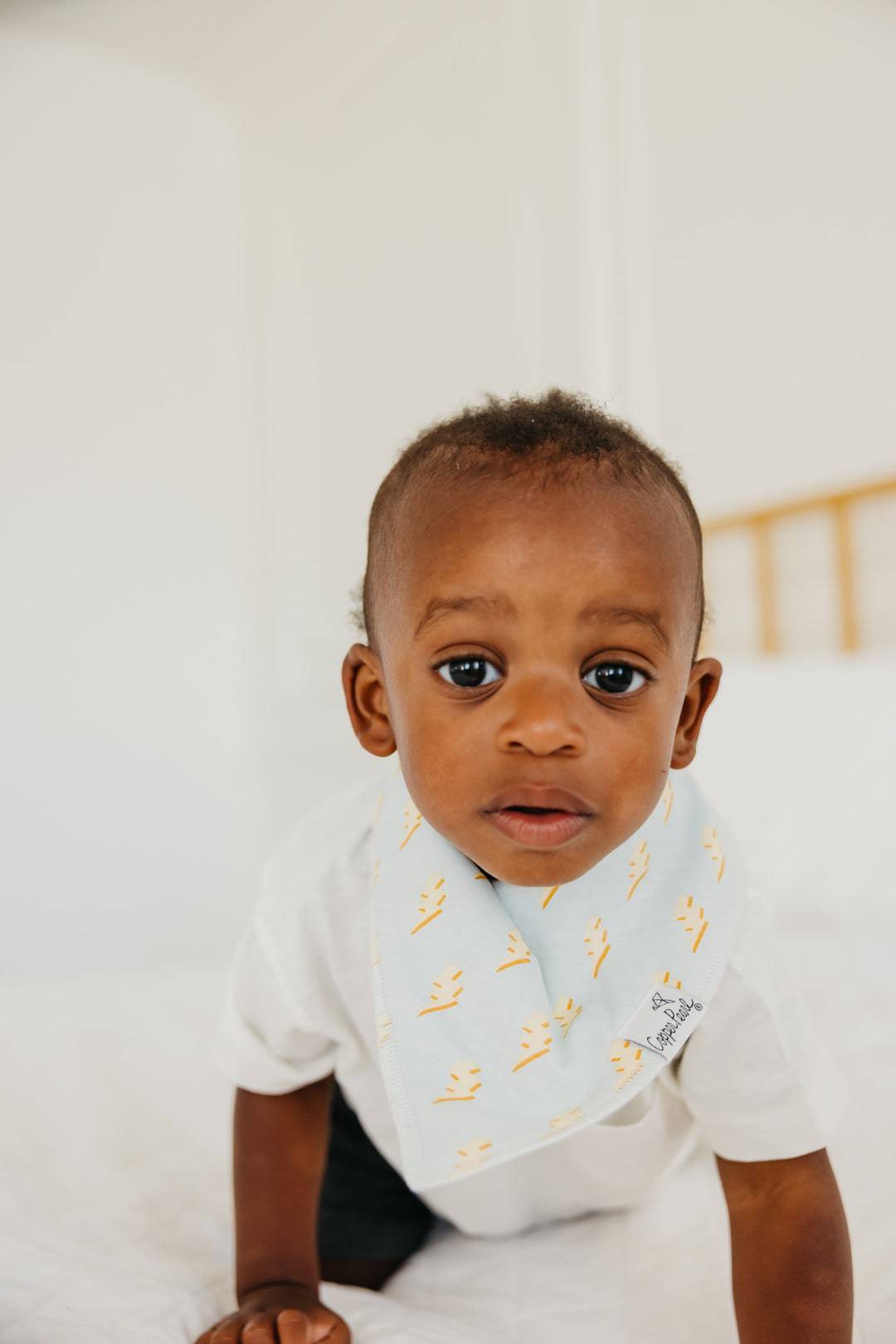 Vance Bandana Bibs - Twinkle Twinkle Little One