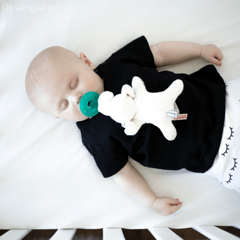 Afrique Elephant WubbaNub Pacifier