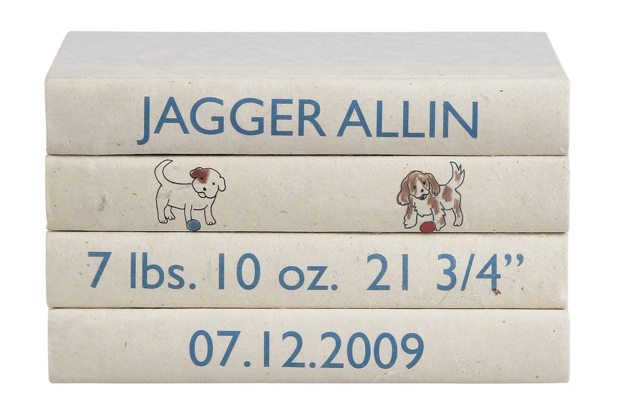 Announcement Decorative Bound Book Stack-Set of 4