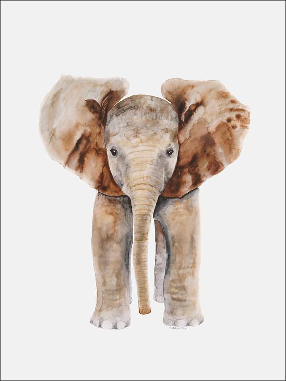 Baby Elephant Portrait Canvas