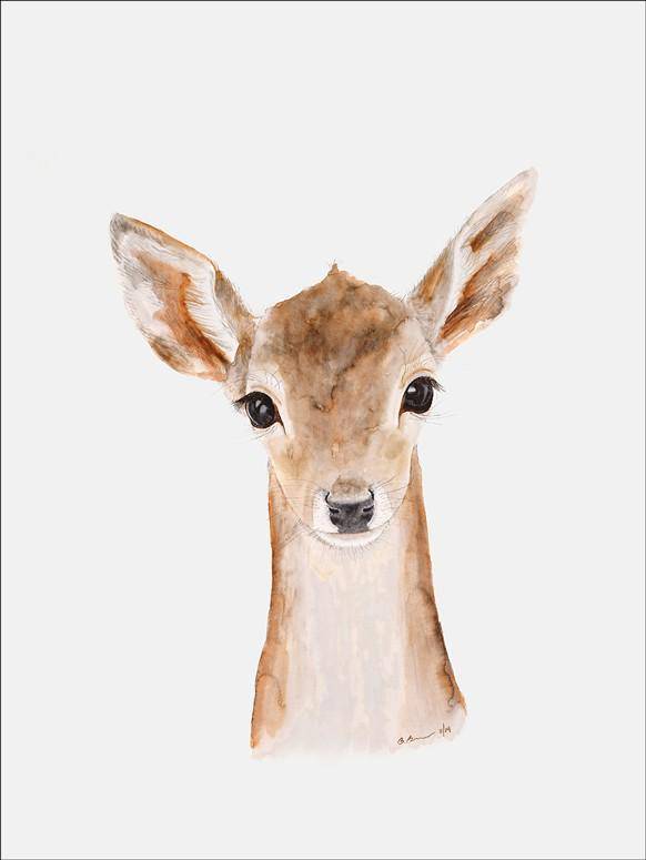 Fawn Portrait Canvas