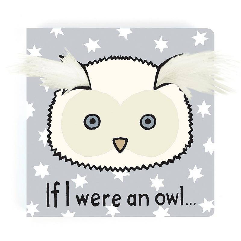 If I Were an Owl