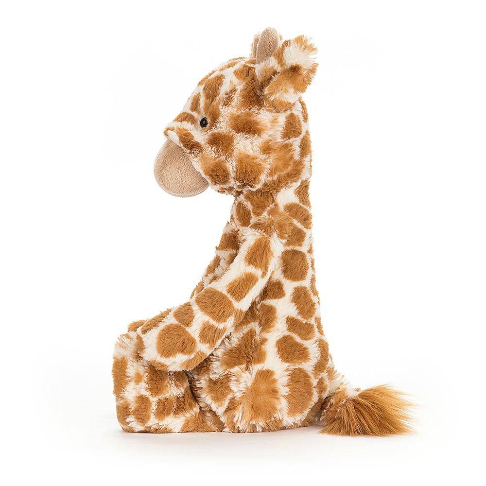 Medium Bashful Giraffe