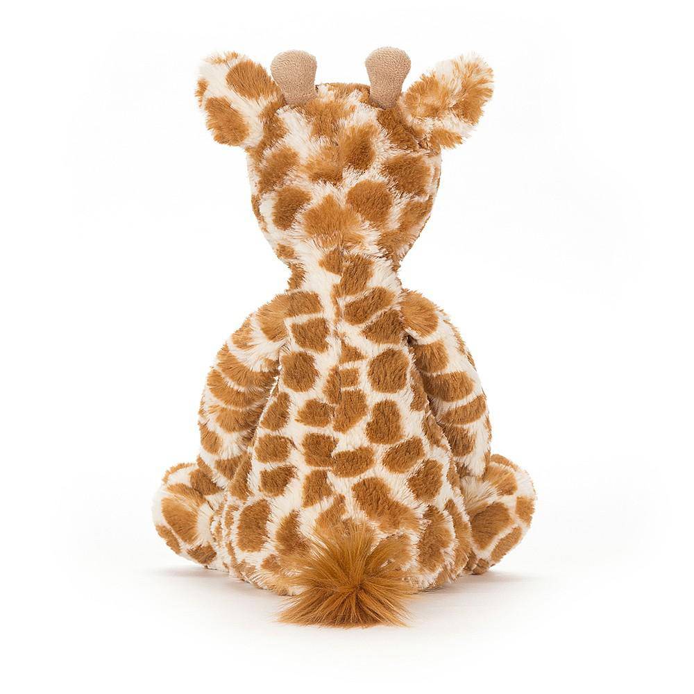 Medium Bashful Giraffe