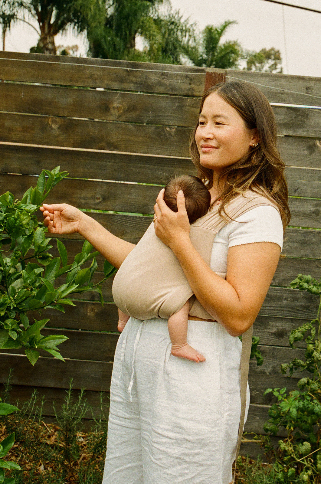 WildBird Aerial Buckle Wrap | Desert Lark - Twinkle Twinkle Little One