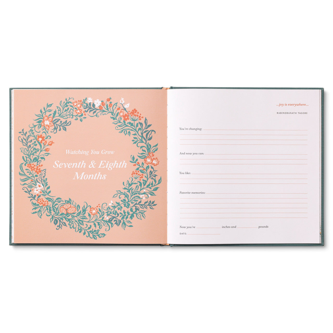 Welcome Baby - A Keepsake Book of Memories & Milestones - Twinkle Twinkle Little One