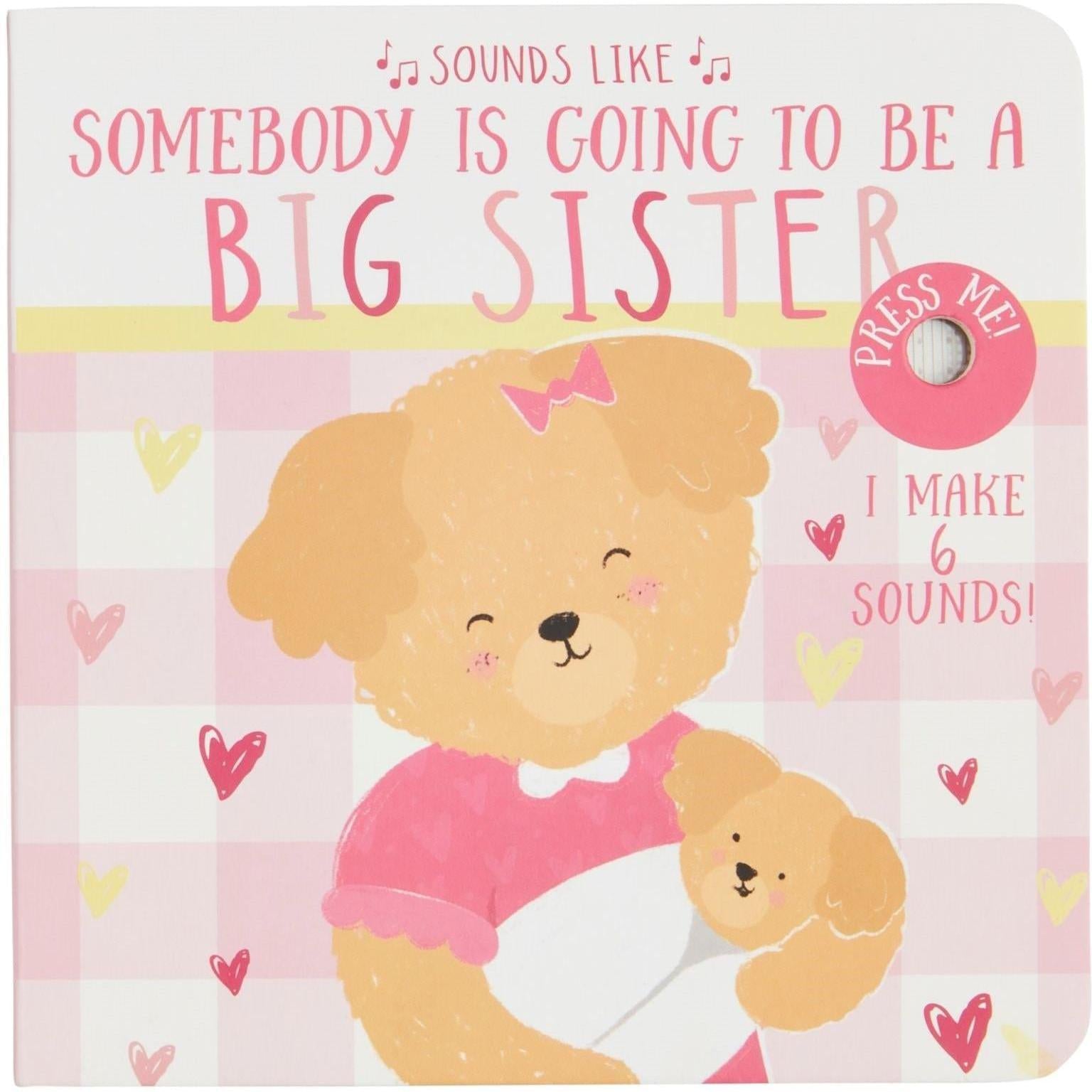 Sounds Like Big Sister Book