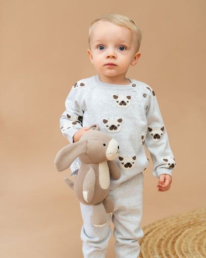 Frenchie Puppy Jacquard Knit Baby Raglan Pullover Sweater & Pant Set - Twinkle Twinkle Little One