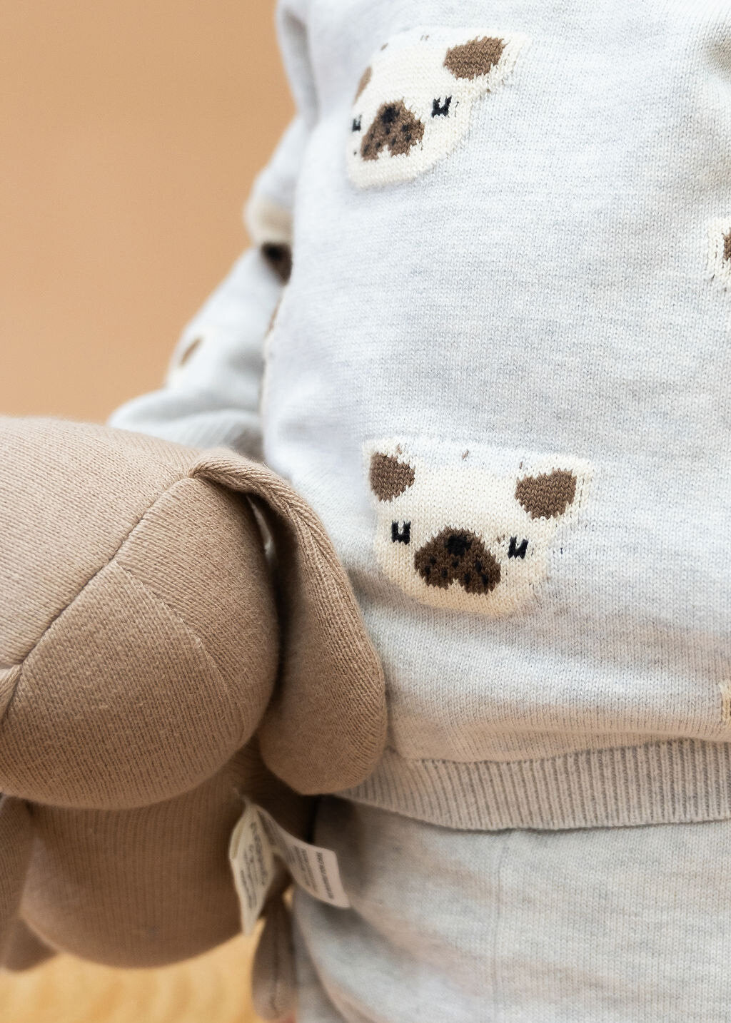 Frenchie Puppy Jacquard Knit Baby Raglan Pullover Sweater & Pant Set - Twinkle Twinkle Little One