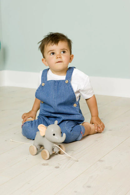 Vincent the Elephant Pull Along Friend - Twinkle Twinkle Little One