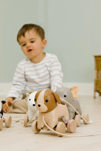 Adrien the Dog Pull Along Friend - Twinkle Twinkle Little One