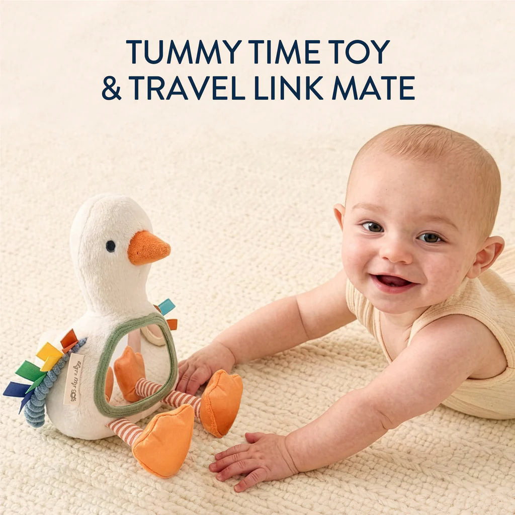 Itzy Ritzy Itzy Bitzy Mirror Sensory Tummy Time Mirror | Gracie the Goose