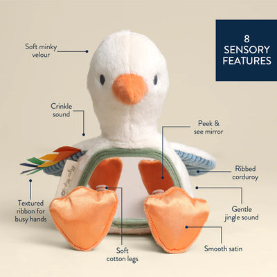 Itzy Ritzy Itzy Bitzy Mirror Sensory Tummy Time Mirror | Gracie the Goose
