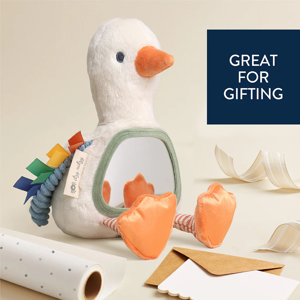 Itzy Ritzy Itzy Bitzy Mirror Sensory Tummy Time Mirror | Gracie the Goose