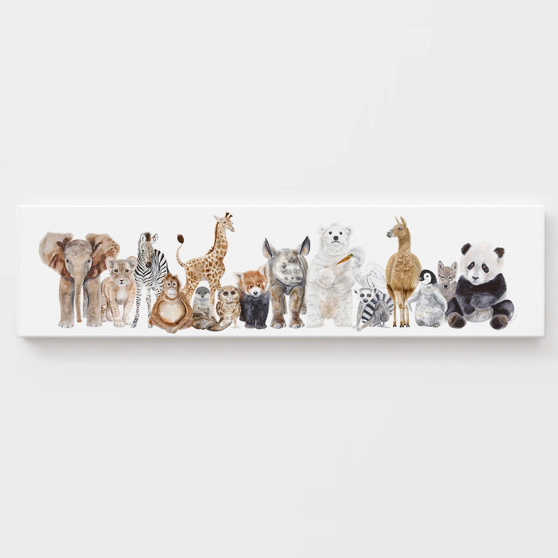 Baby Animal Montage Canvas Art
