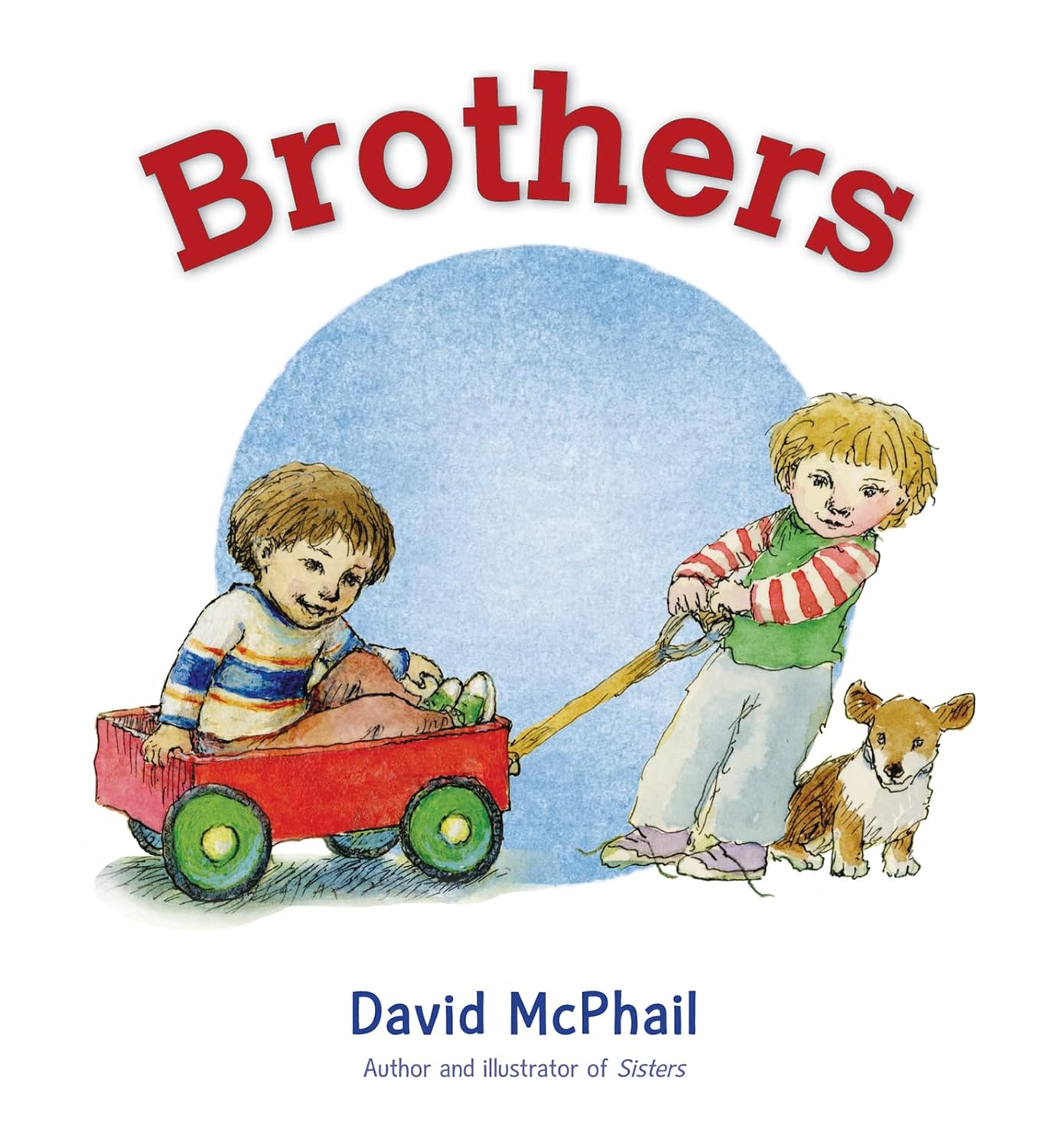 Brothers Board Book