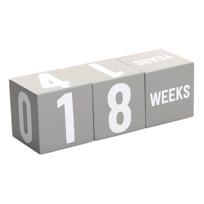 Wooden Baby Milestone Age Blocks | Photo Prop for Baby Photo - Twinkle Twinkle Little One