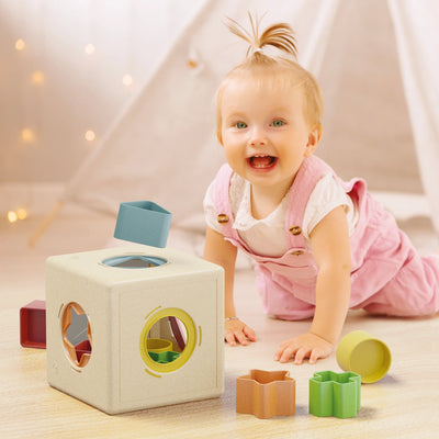 Quercetti Kubo Shape Play Bio