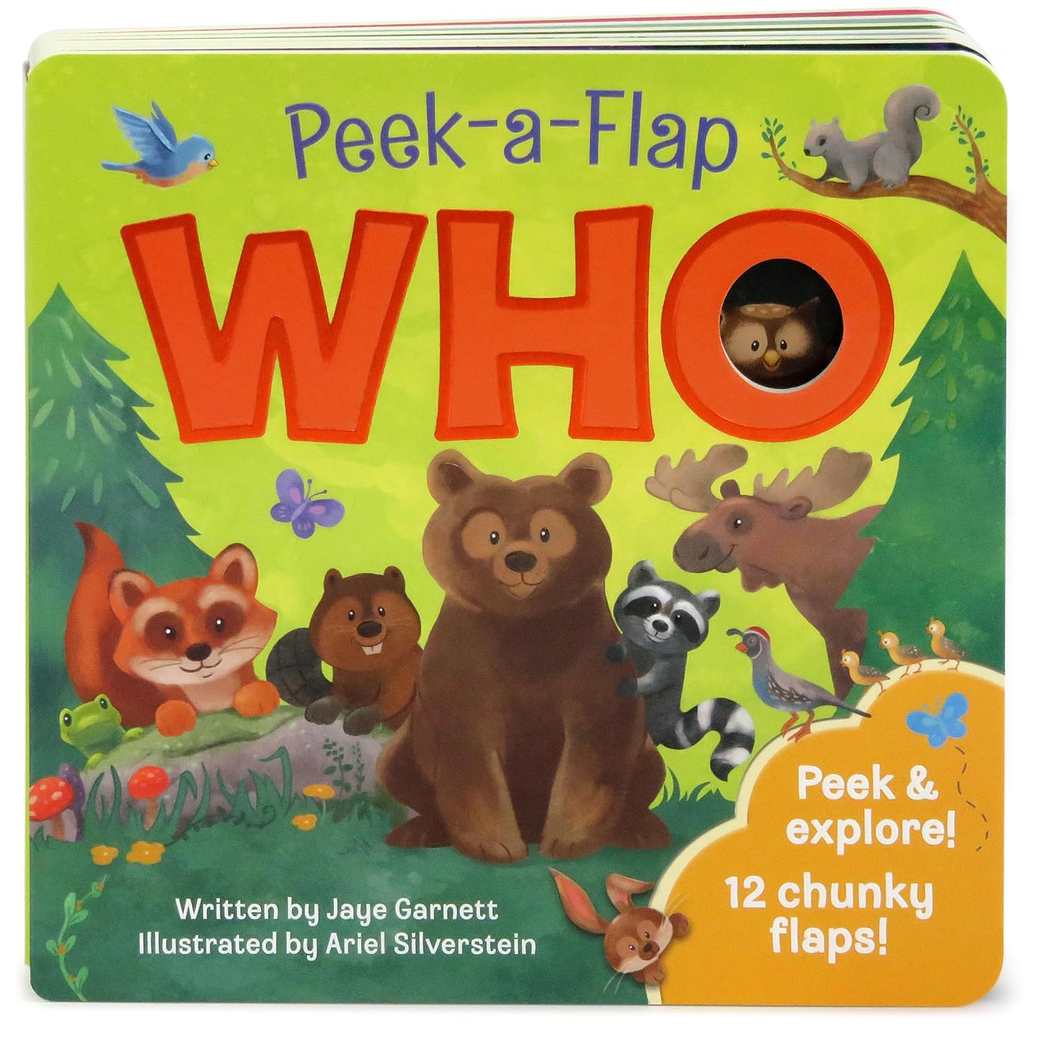 Who: Peek-a-Flap Children's Board Book