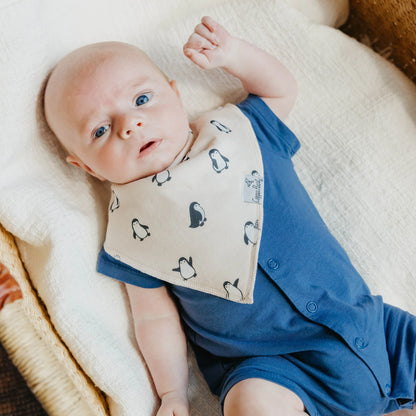 Arctic Wonder Baby Bandana Bibs - Twinkle Twinkle Little One