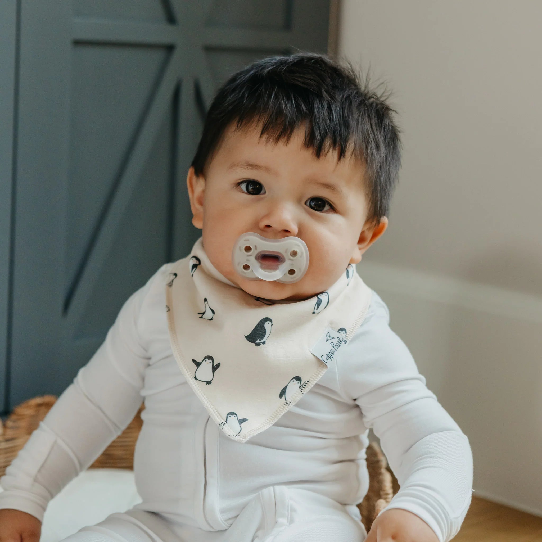 Arctic Wonder Baby Bandana Bibs - Twinkle Twinkle Little One